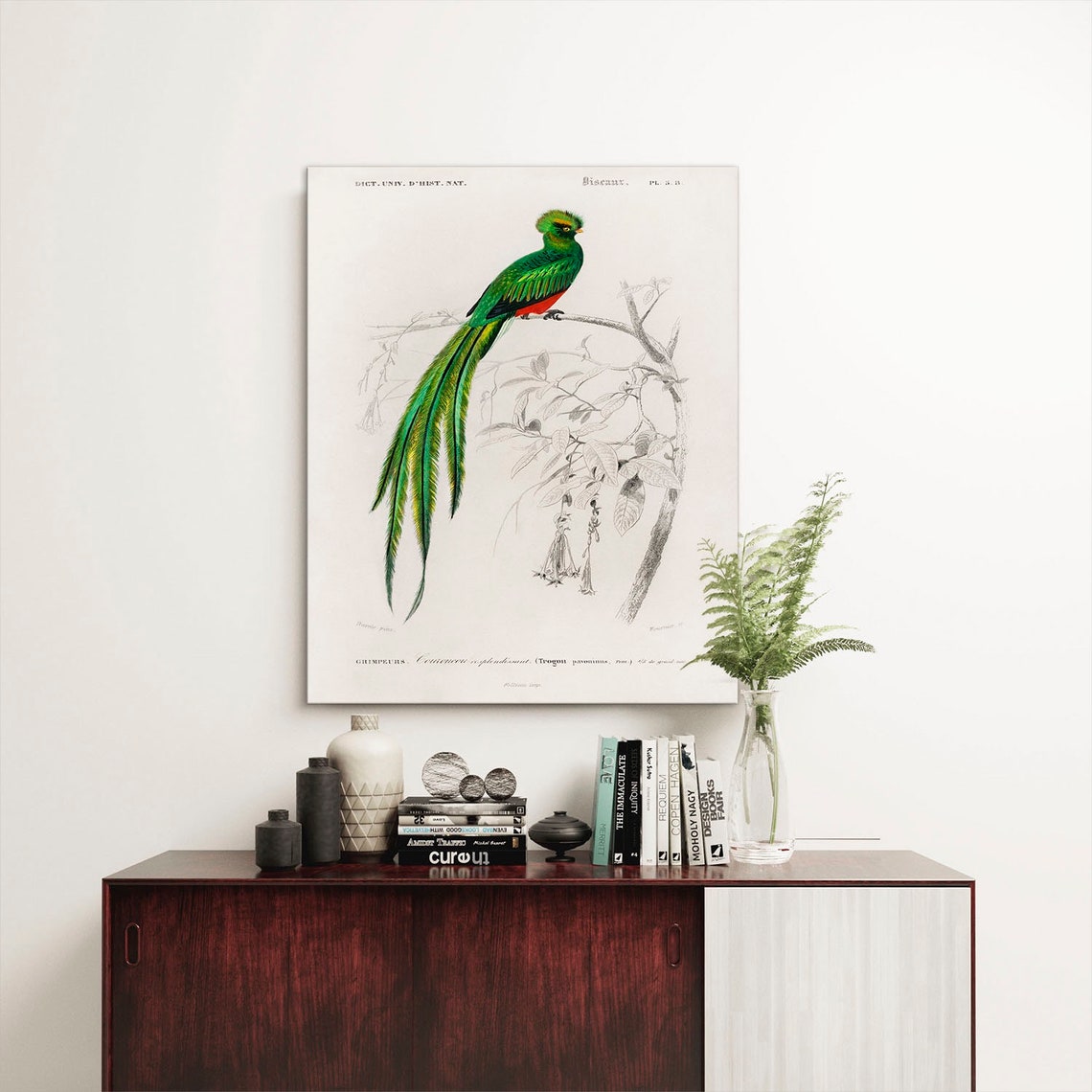 Resplendent Quetzal Vintage Natural History Bird Plate Poster