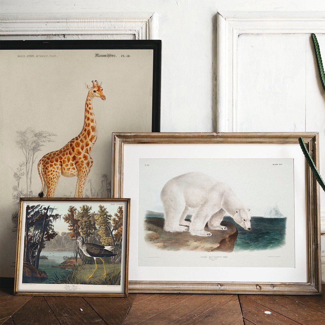 Polar Bear Antique Animal Painting, Vintage Art Print - Image 2