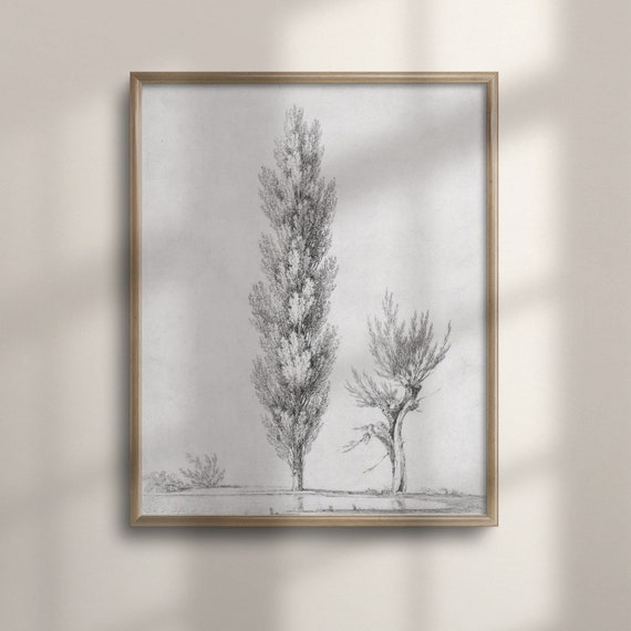 Antique Tree Sketch Art Minimalist Landscape Neutral Wall Decor Vintage Academia Victorian Inspired Poster Print C16 796