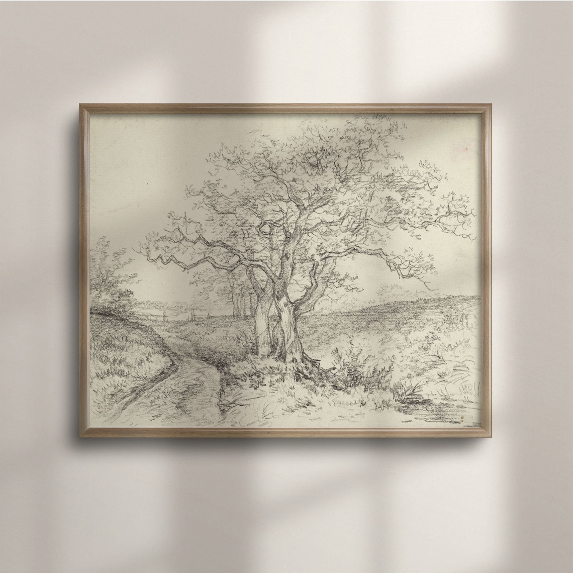 Vintage Tree Sketch Art Print, Farmhouse Decor