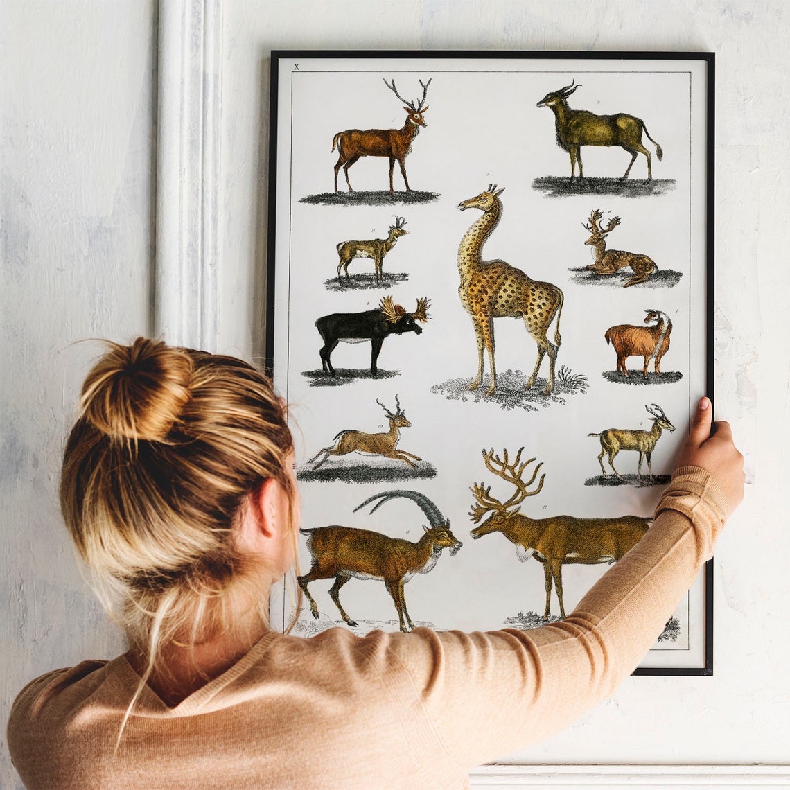 Animals With Antlers Print Antique Animal Painting Vintage Drawing Poster Wall Art Antler Animals Animal Drawing Animal Print Coo277 - Image 3