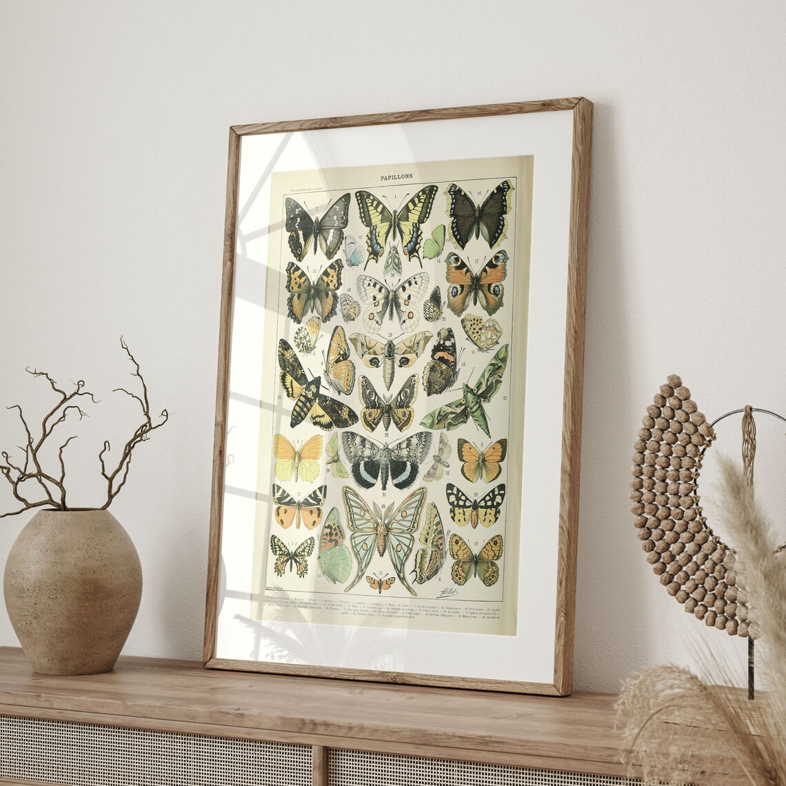 Adolphe Millot Butterfly Vintage Botanical Art Print - Image 4