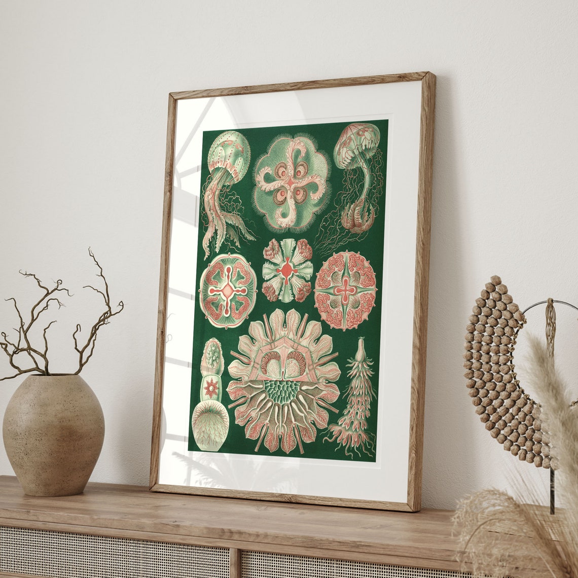 Ernst Haeckel Jellyfish Plate Kunstformen der Natur Science Poster - Image 4