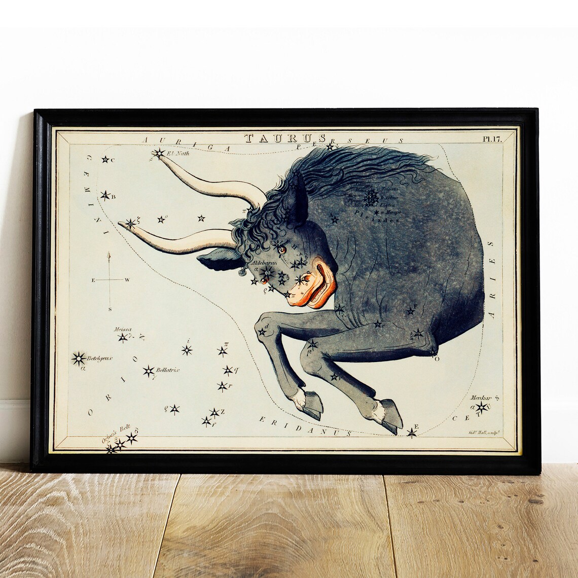 Taurus Antique Space Painting Vintage Poster