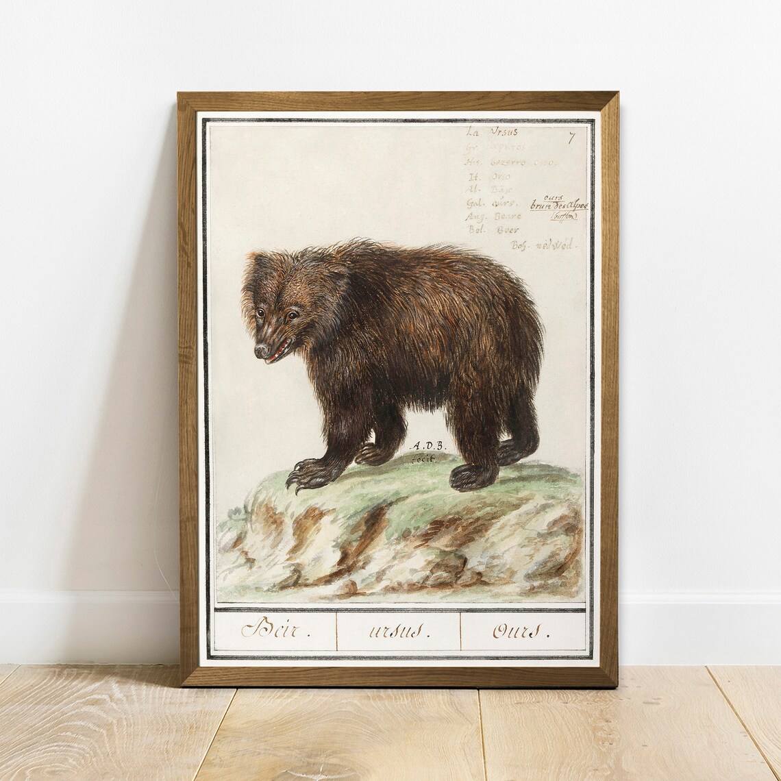 Brown Bear Antique Space Painting Vintage Art Print