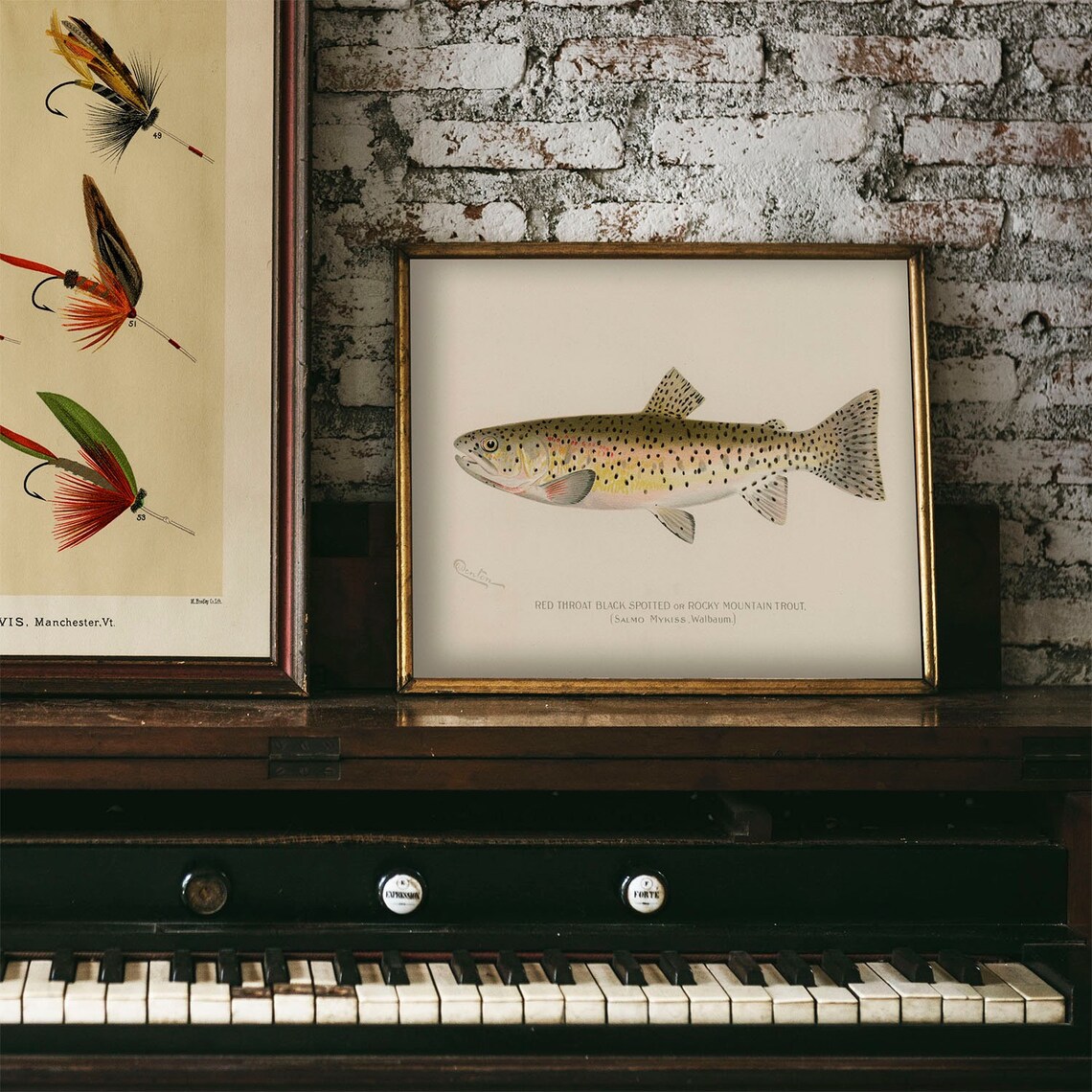 Red Throat Black Spotted Fish Vintage Fishing Poster - Image 4