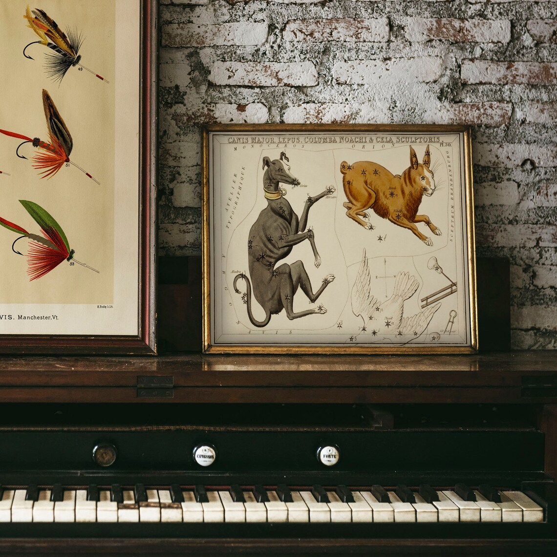 Canis Major Antique Space Painting, Vintage Zodiac Art Print - Image 4
