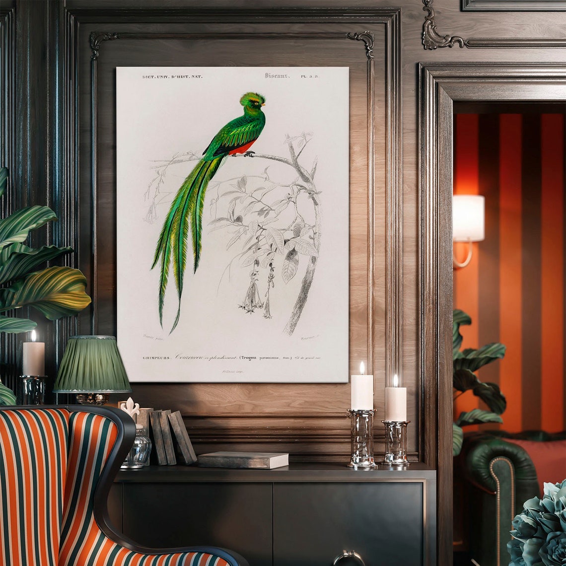 Resplendent Quetzal Vintage Natural History Bird Plate Poster - Image 4