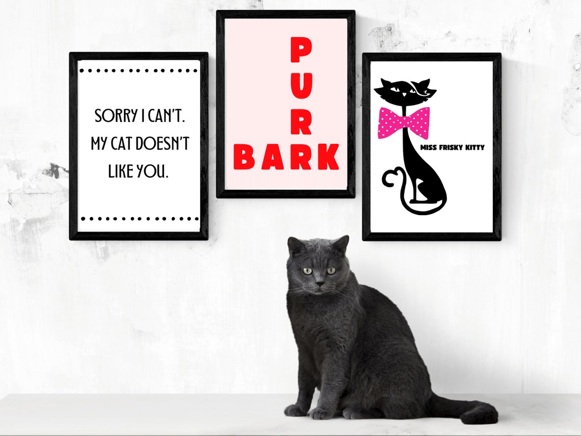 Sorry I Can't My Cat Doesn't Like You Funny Cat Quote Poster - Image 3