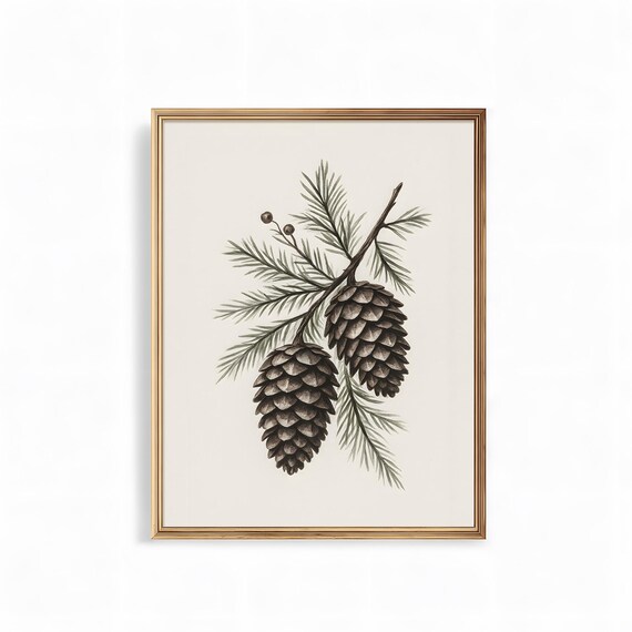 Pine Cones on Evergreen Branch Vintage Botanical Art Poster Wall Decor