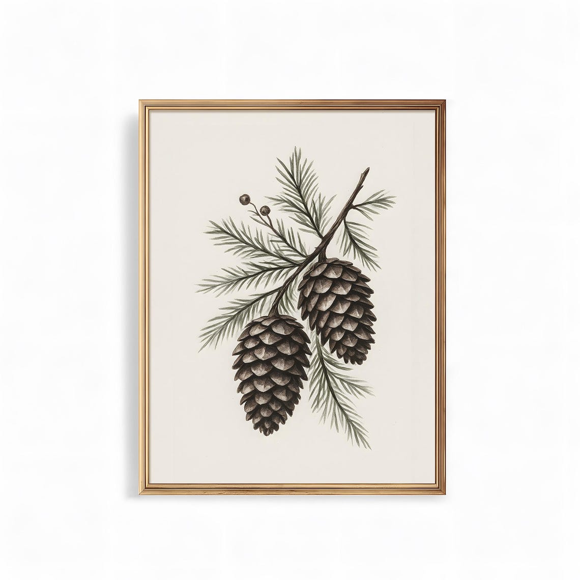 Pine Cones on Evergreen Branch Vintage Botanical Art Poster Wall Decor