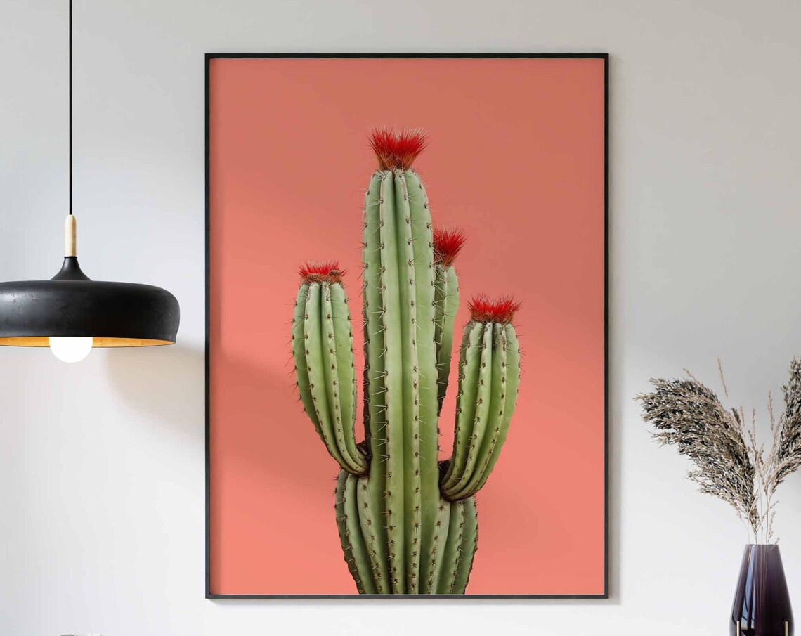 Cactus with Fuzzy Red Flower Crowns on a Salmon Background Poster