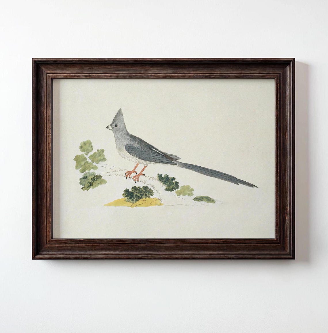 Vintage Bird Illustration Art Print, Antique Minimalist Nature - Image 2