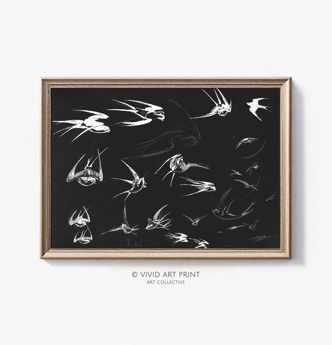 Vintage Bird Sketch, Swallows In Flight Art Print