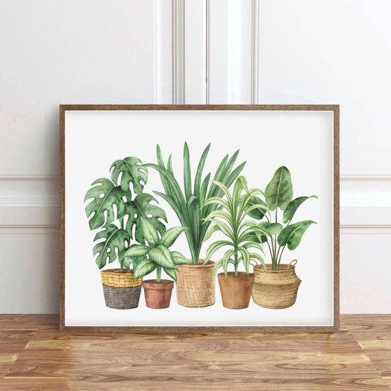 Botanical Houseplant Painting Indoor Plant Poster Foliage Watercolor Leaf Print Terracotta Pot Monochromatic 11x14
