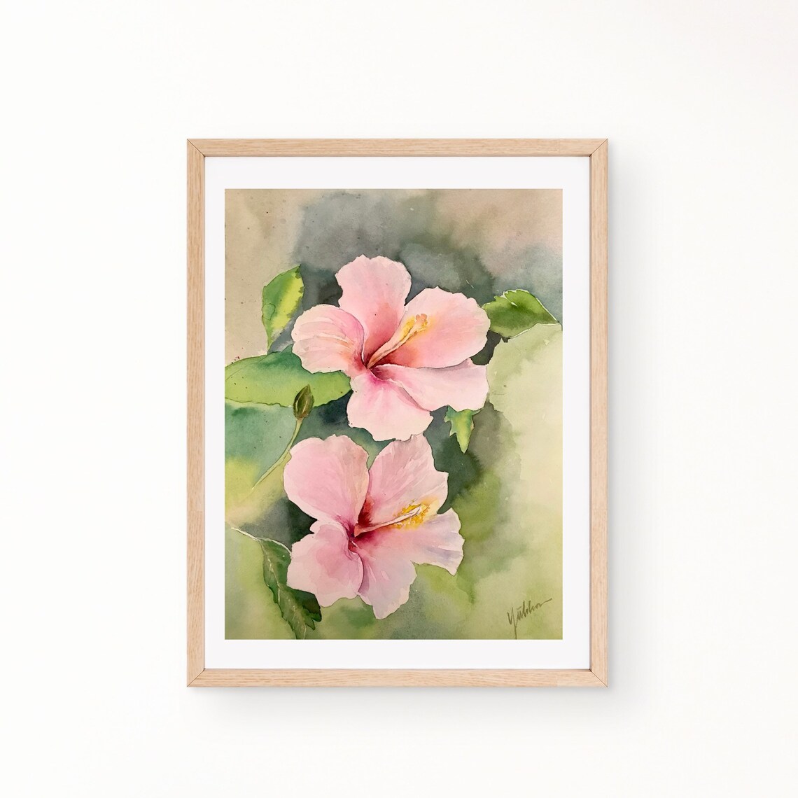 Two Pink Hibiscus Flowers in a Soft Botanical Watercolor Poster