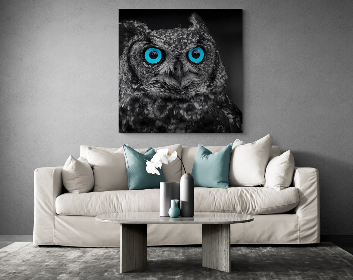 Blue Eyed Owl Black White Close Up Striking Gaze Wildlife Art Poster - Image 2