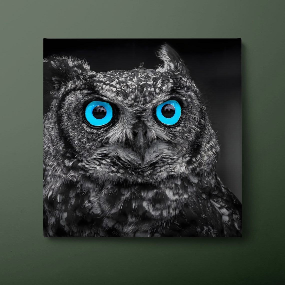 Blue Eyed Owl Black White Close Up Striking Gaze Wildlife Art Poster