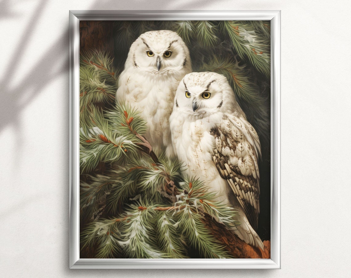 Two White Snowy Owls Perched in a Pine Tree Winter Bird Poster