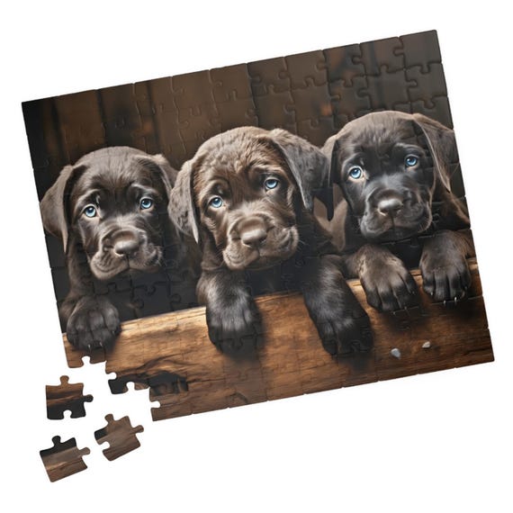 Great Dane Puppies Jigsaw Cute Puppy Portrait Puzzle Relaxing For One Fun For Families Great Gift For Dog Lovers And Hospital Patients