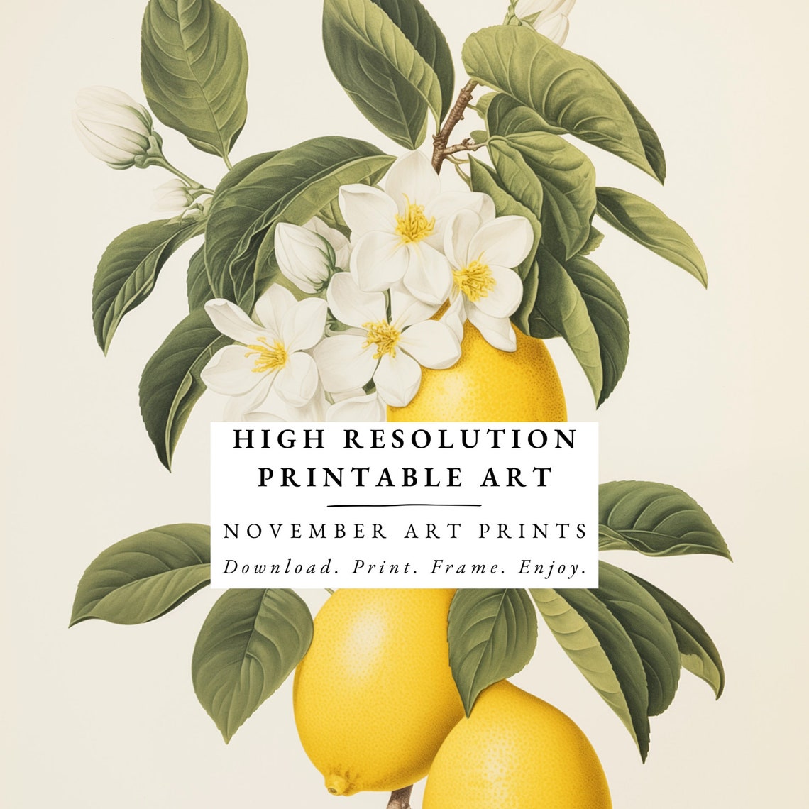 Vintage Lemons Poster, Retro Citrus Kitchen Art - Image 6