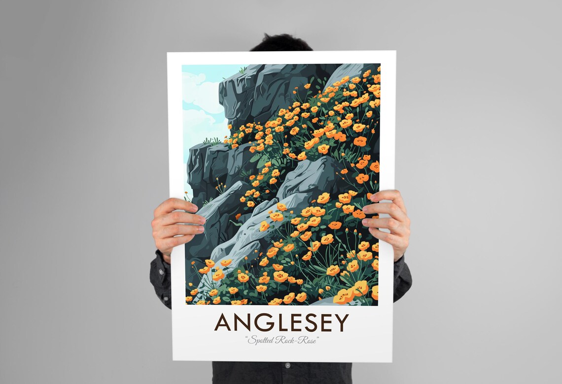 Anglesey Wales Spotted Rock Rose Wildflower Rocks Vintage Poster - Image 3