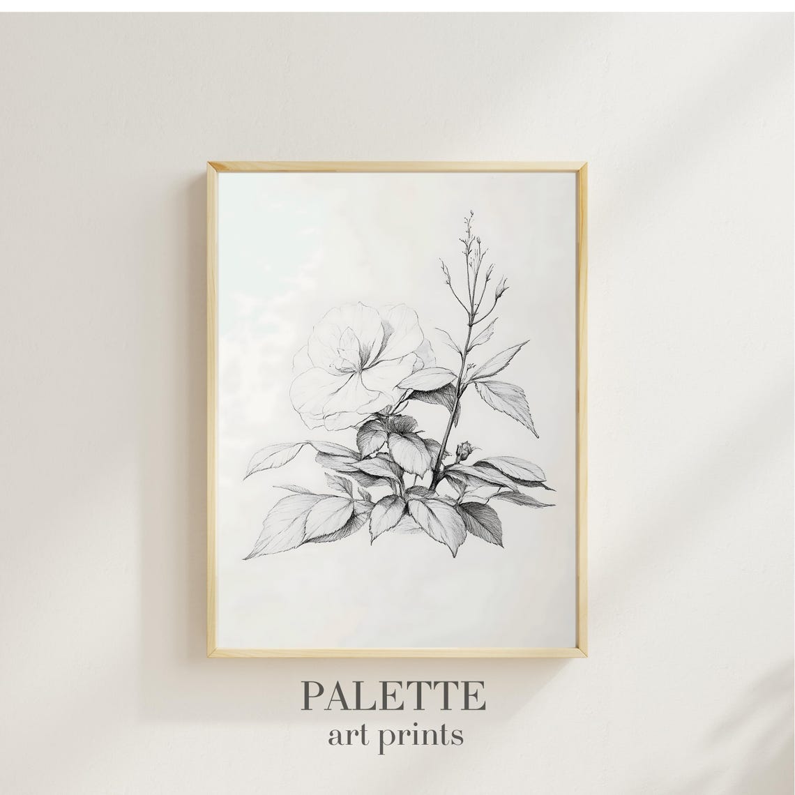 Blooming Flower Botanical Line Sketch Delicate Floral Drawing Poster