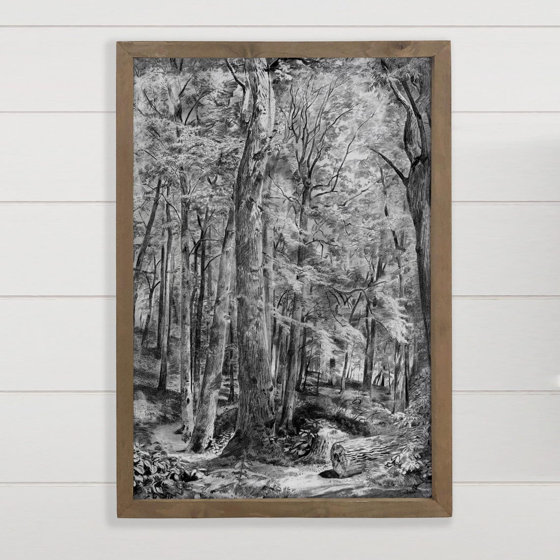 Black And White Forest Pencil Sketch Tall Trees Landscape Poster