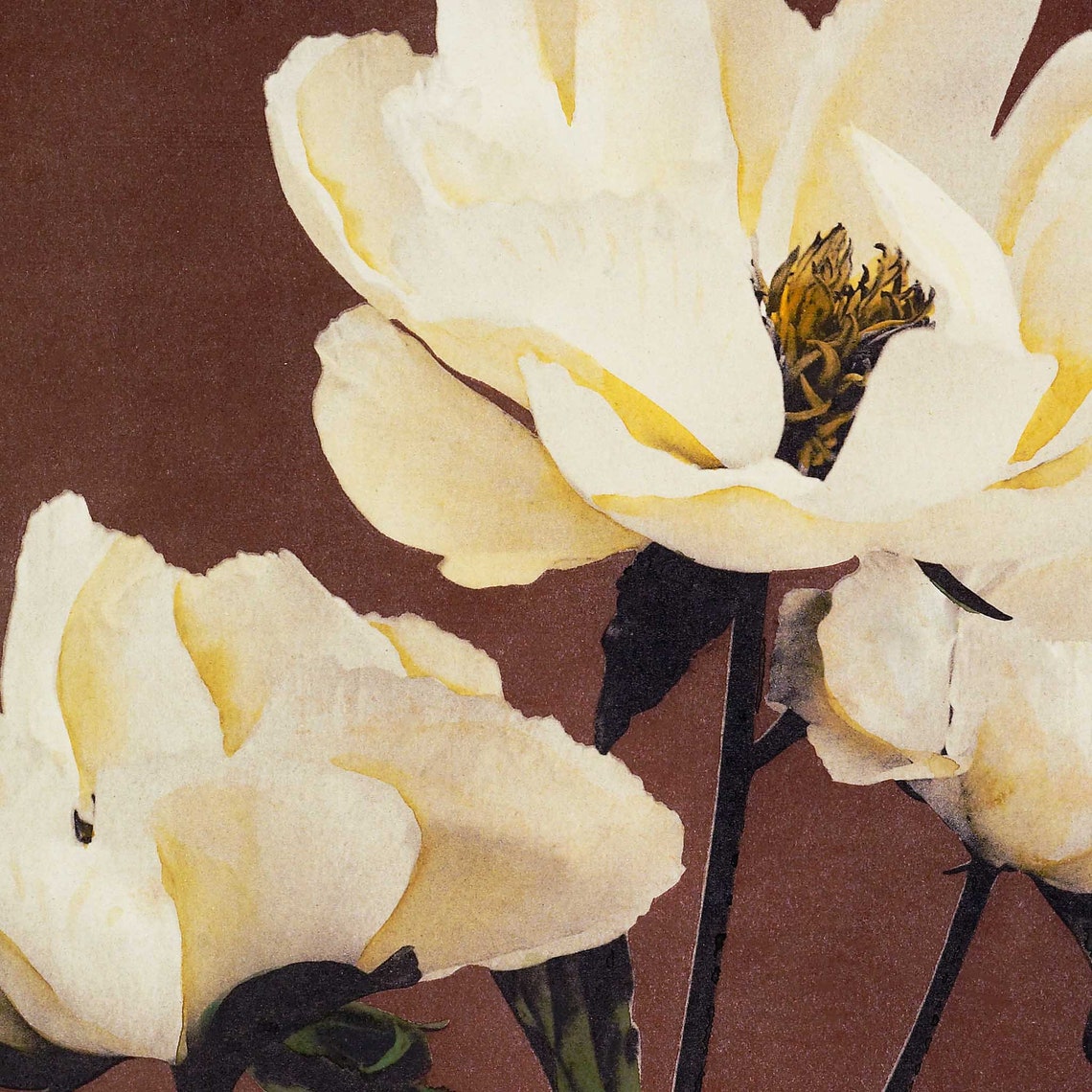 Ogawa Kazumasa White Peony Vintage Japanese Botanical Flower Poster - Image 2