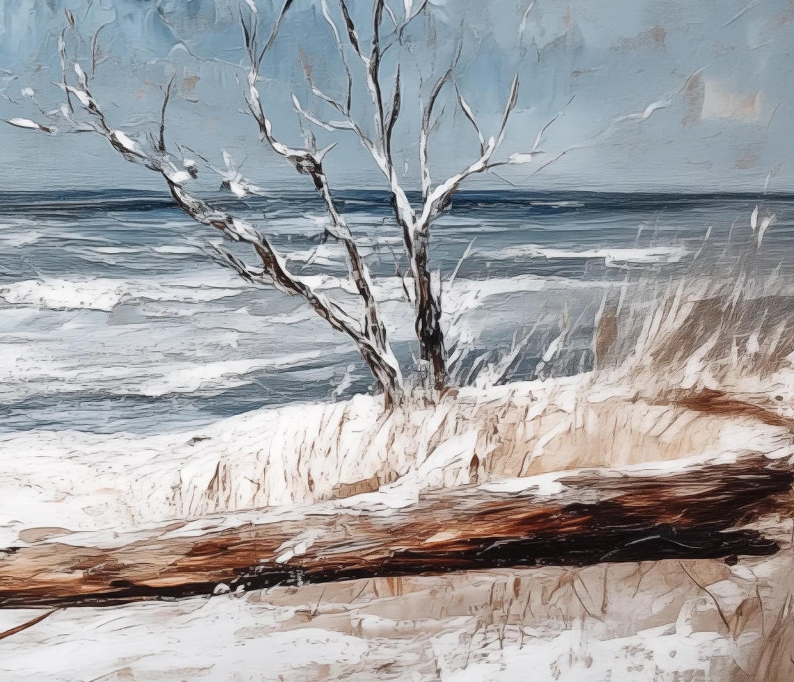 Cold Winter Beach Snowy Driftwood Shore Grey Seascape Poster - Image 6