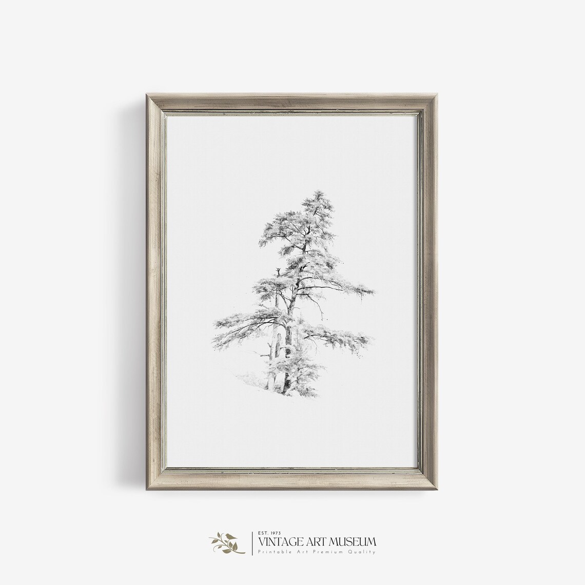 Antique Pine Tree Sketch Vintage Art Print