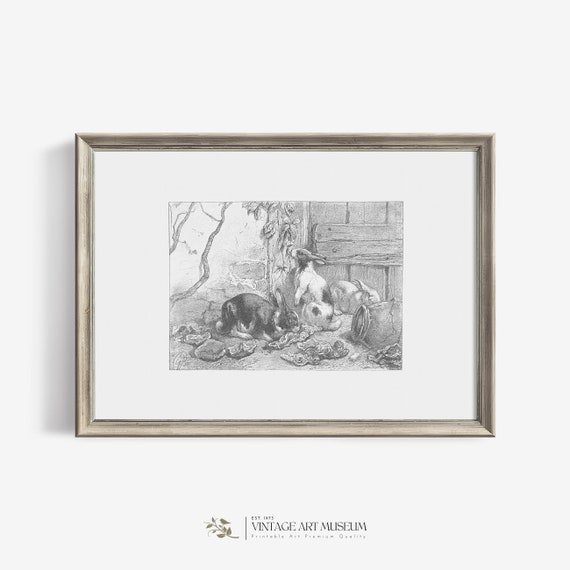 Rabbits Vintage Sketch Art Print, Farmhouse Decor
