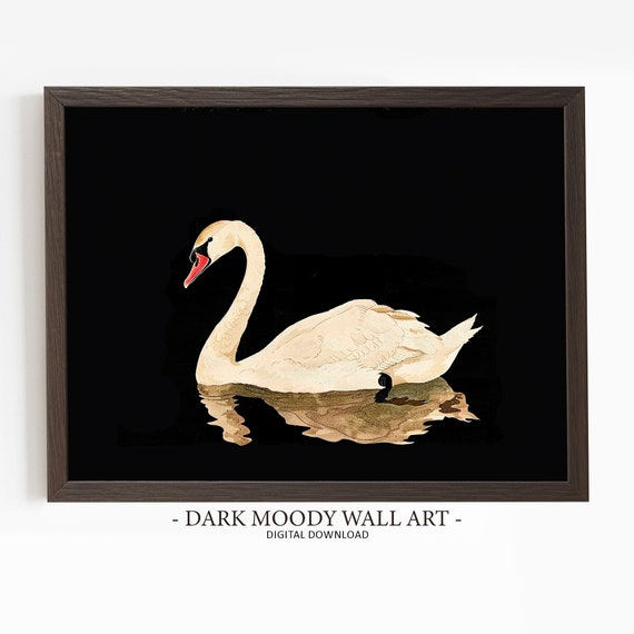 White Swan Dark Moody Wall Art Vintage Bird Print Dark Academia Decor Antique Dark Oil Painting