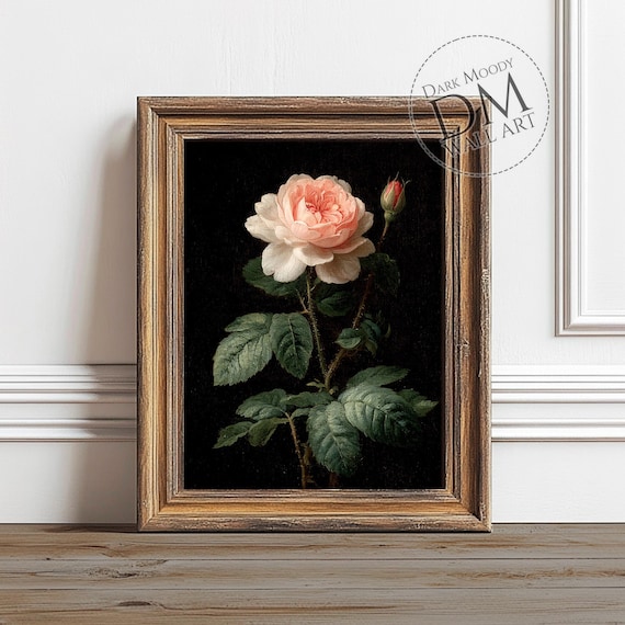 Rose Flower Wall Art Moody Botanical Still Life