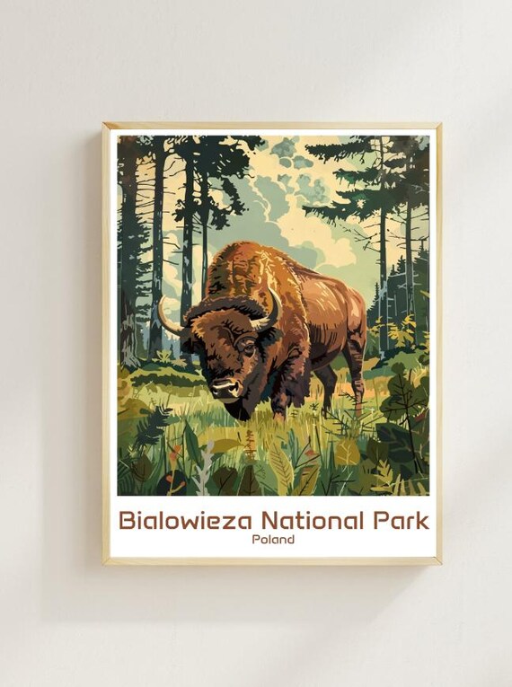 Bialowieza National Park Poland Bison Forest Illustration Poster
