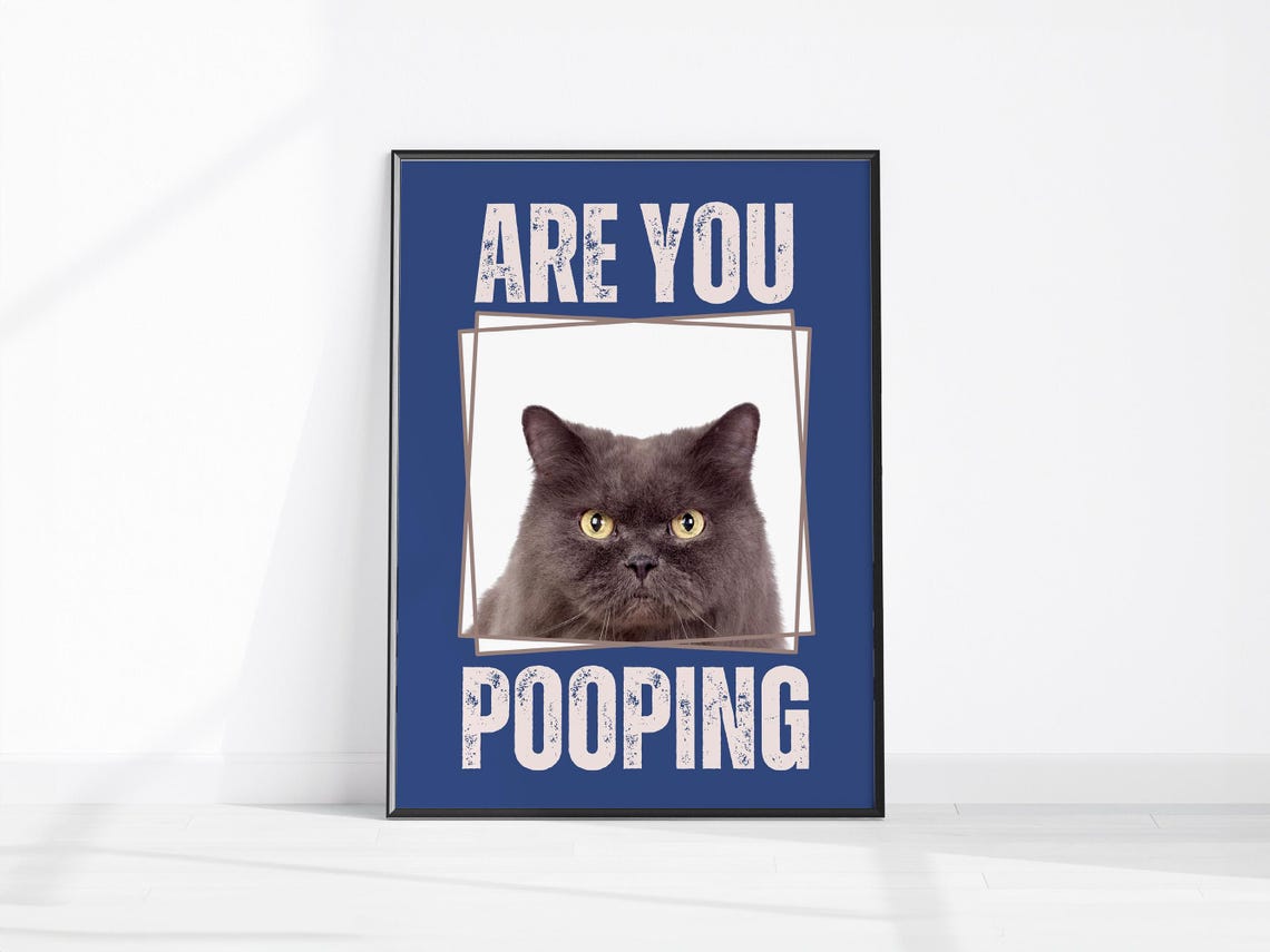 Are You Pooping Funny Cat Bathroom Humor Poster Blue Wall Decor