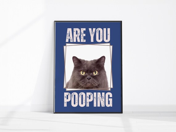 Are You Pooping Funny Cat Bathroom Humor Poster Blue Wall Decor