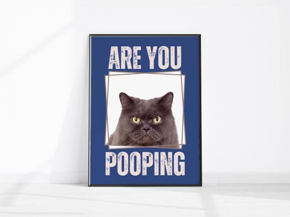 Funny Cat Art Print Bathroom Wall Decor Are You Pooping Toilet Lovers Gift Guest Sign Fun Restroom Wc Loo