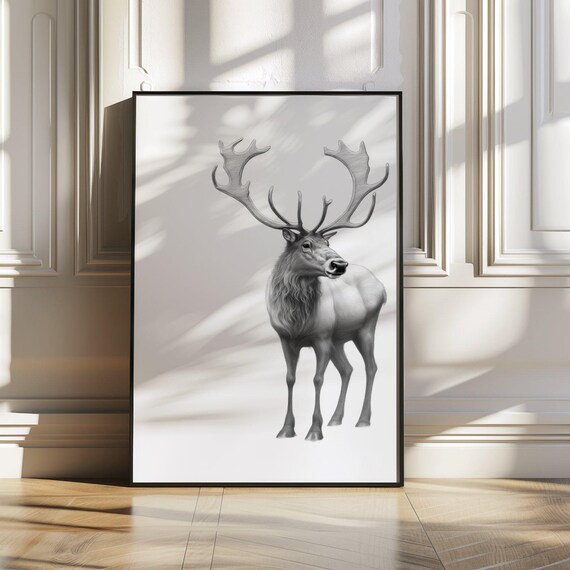 Stag Deer With Large Antlers Black and White Wildlife Art Poster
