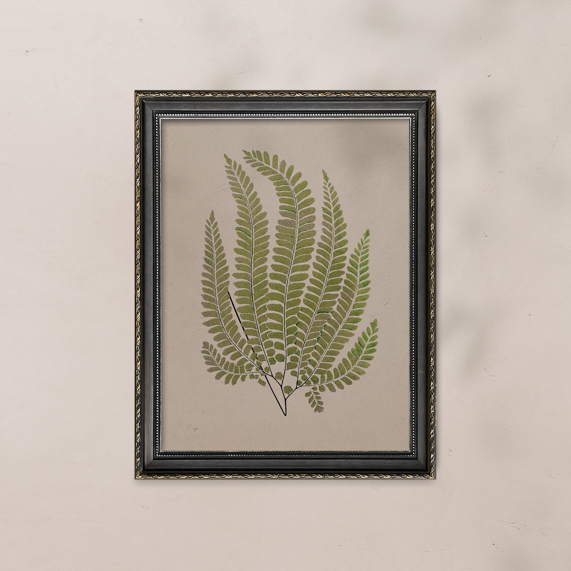 Green Fern Fronds Vintage Botanical Study in Warm Neutral Tones Poster - Image 7