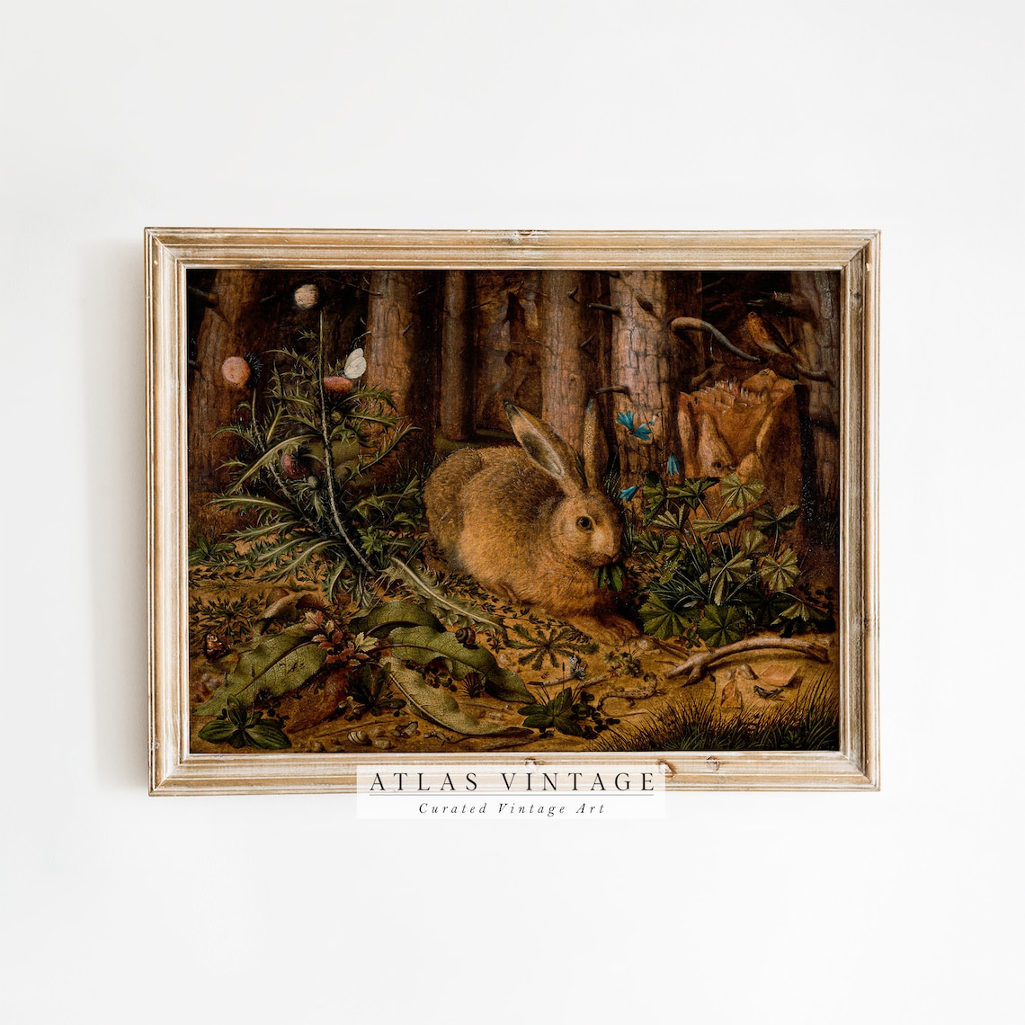 Vintage Hare in Forest Floor Detailed Wildlife Nature Poster