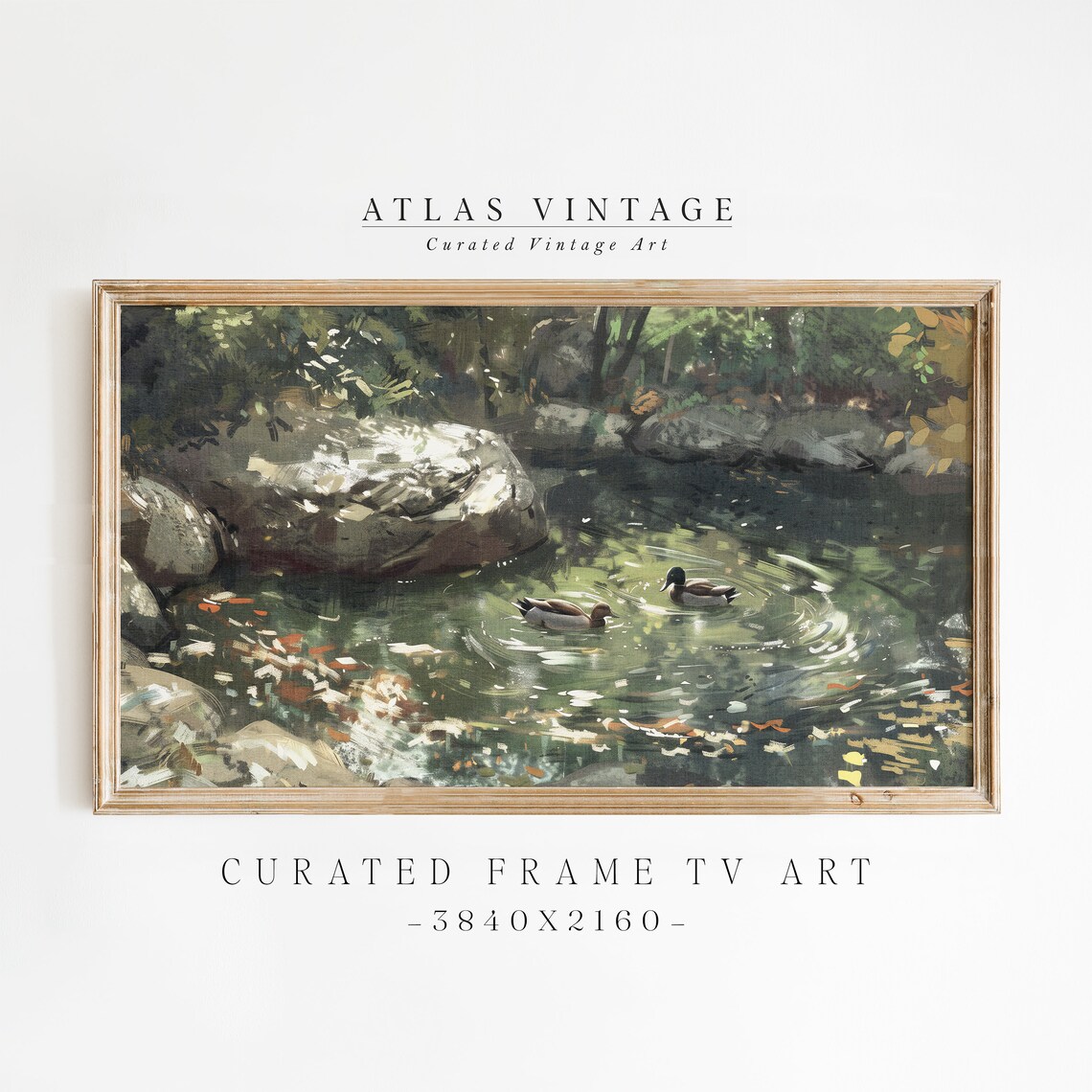 Two Ducks on a Woodland Pond Vintage Style Frame TV Art Print