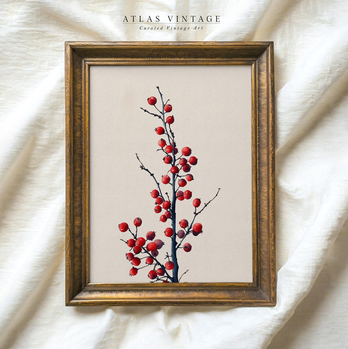 Red Winterberry Branch Vintage Botanical Illustration Poster
