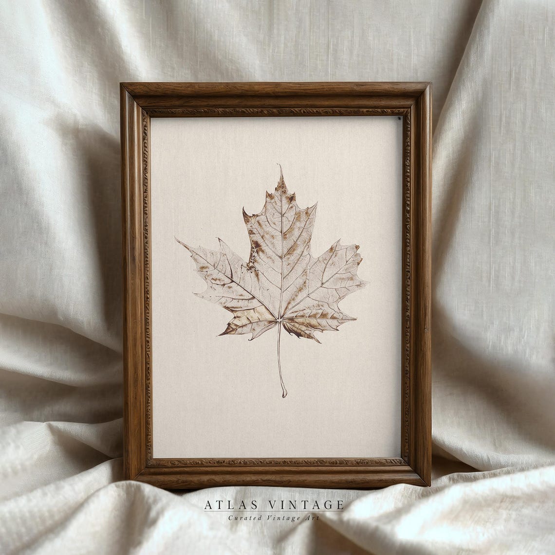Pressed Maple Leaf Botanical Sketch Neutral Autumn Wall Poster - Image 2
