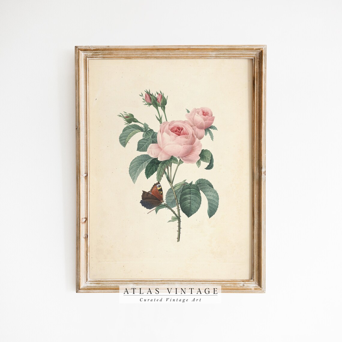 Vintage Digital Download Steps Card How To Purchase Download and Frame Print - Image 8