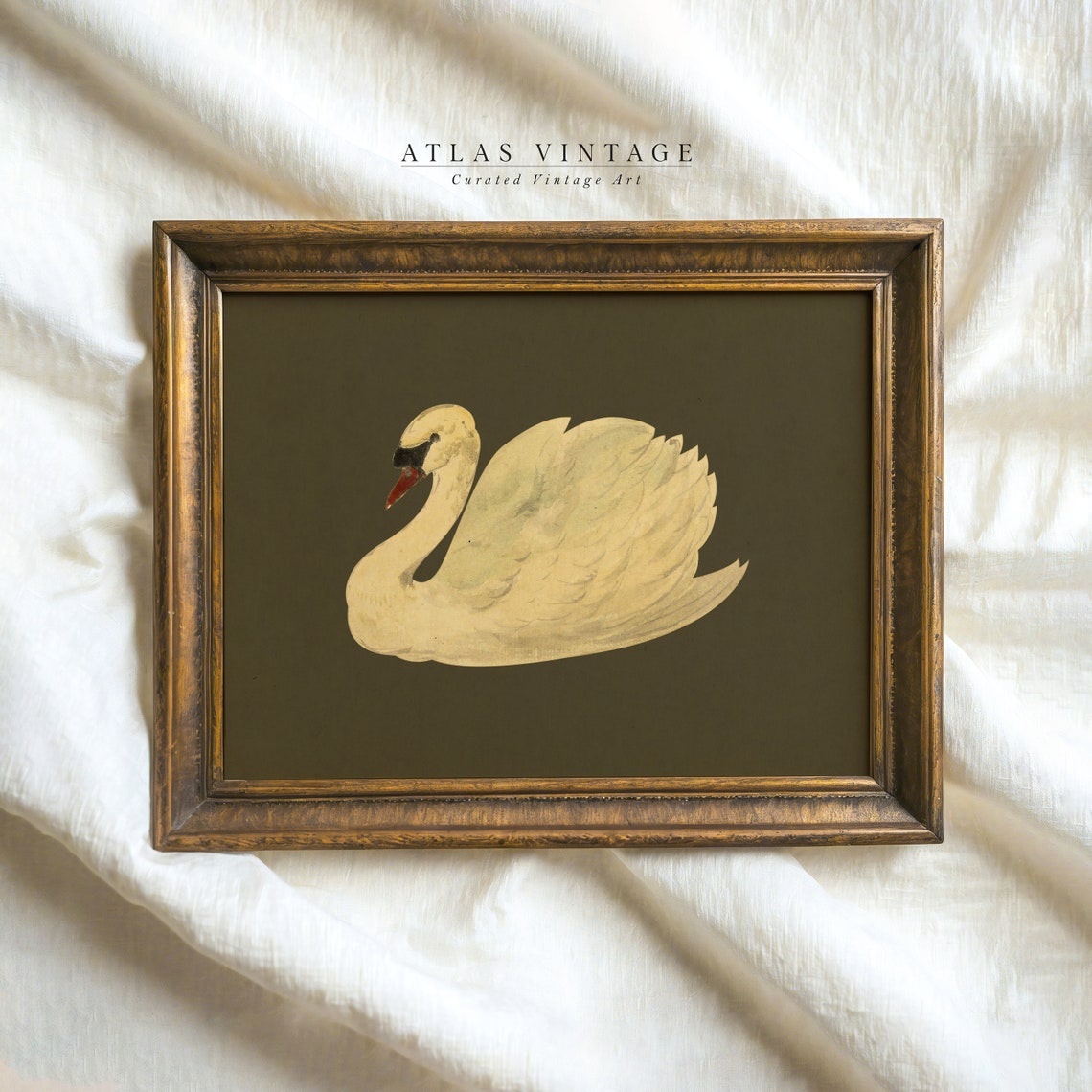 Minimalist White Swan on Dark Olive Elegant Bird Painting Poster
