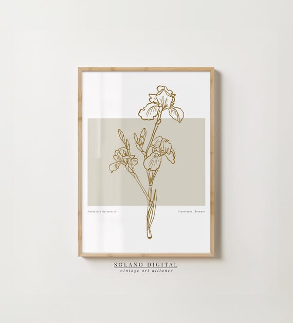 Line Art Iris Flower Poster Botanical Wall Minimalist Beige Modern For Living Room Decor