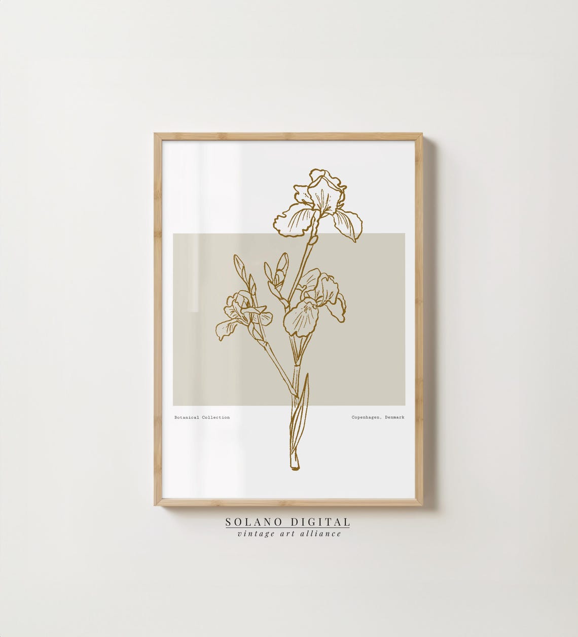 Gold Line Art Iris Flower Minimalist Beige Botanical Wall Decor Poster