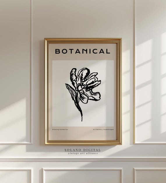 Botanical Line Drawing Art Black And White Flower Wall Minimalist Floral Sketch For Home Decor