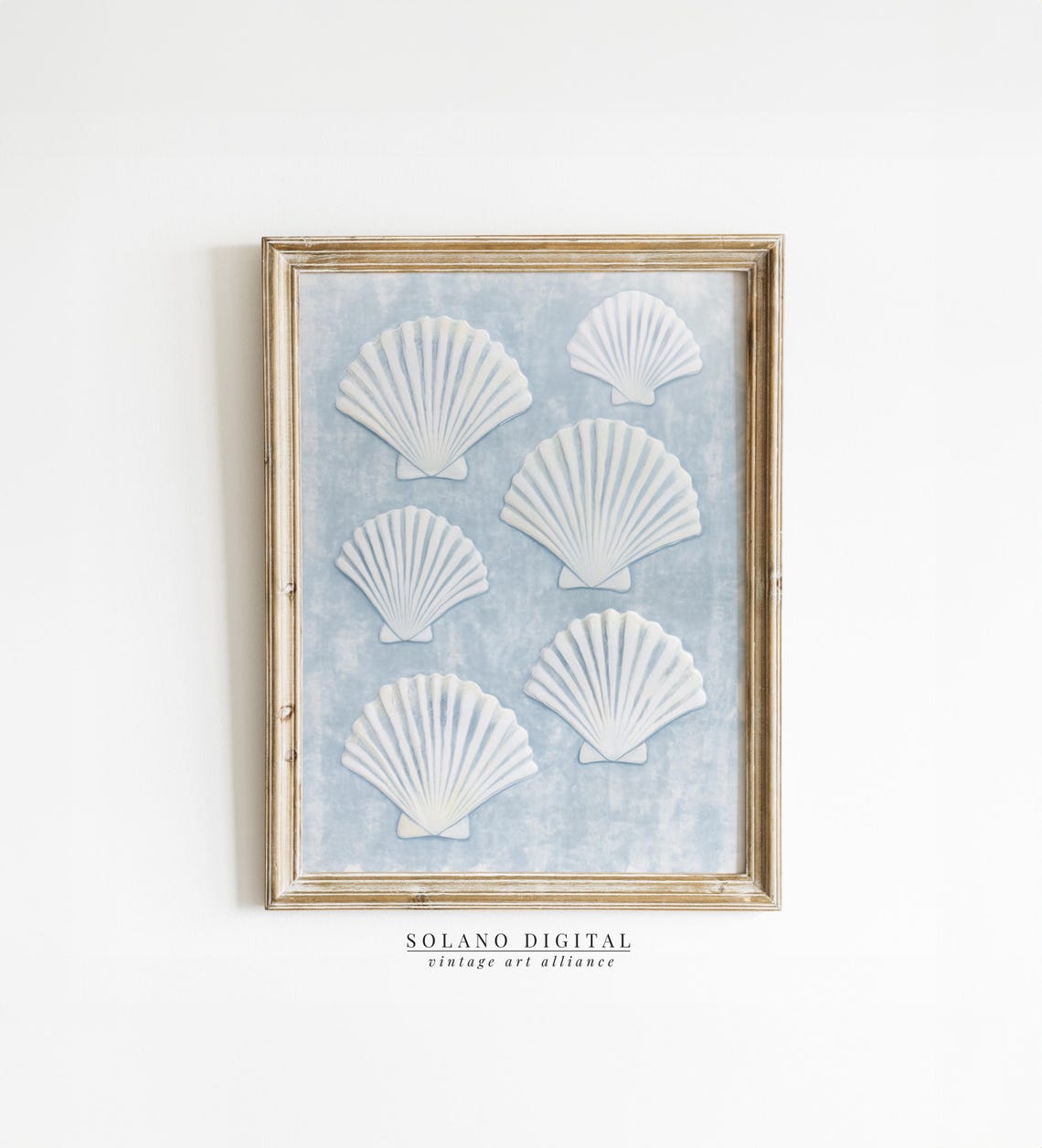 Sea Shells Vintage Coastal Art Print